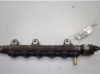  Рампа (рейка) топливная Nissan X-Trail (T31) 2007-2015 20553313 #1