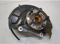  Ступица (кулак, цапфа) Volkswagen Passat 6 2005-2010 20551392 #1