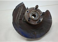 31203413226, 3413226, 31213412019, 3412019, 34113411871 Ступица (кулак, цапфа) BMW X3 E83 2003-2010 20551447 #1