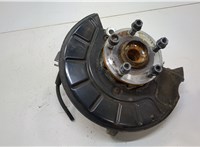  Ступица (кулак, цапфа) Volkswagen Passat 6 2005-2010 20551898 #1