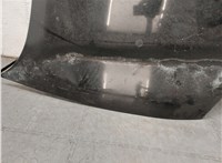  Капот Hyundai Santa Fe 2000-2006 20554679 #9