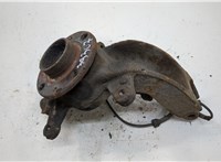 8200297033, 8200308650 Ступица (кулак, цапфа) Renault Scenic 2003-2009 20555277 #1