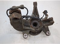 8200297033, 8200308650 Ступица (кулак, цапфа) Renault Scenic 2003-2009 20555277 #2