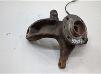 8200297033, 8200308650 Ступица (кулак, цапфа) Renault Scenic 2003-2009 20555361 #1