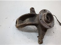 8200297033, 8200308650 Ступица (кулак, цапфа) Renault Scenic 2003-2009 20555388 #1