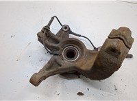 8200297033, 8200308650 Ступица (кулак, цапфа) Renault Scenic 2003-2009 20555388 #2