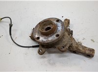  Ступица (кулак, цапфа) Renault Kangoo 1998-2008 20555392 #1