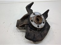 1J0407613G, 1J0498625, 1J0407256N, 1J0615612D Ступица (кулак, цапфа) Volkswagen Golf 4 1997-2005 20555513 #1