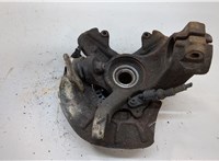 1J0407613G, 1J0498625, 1J0407256N, 1J0615612D Ступица (кулак, цапфа) Volkswagen Golf 4 1997-2005 20555513 #2