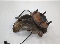  Ступица (кулак, цапфа) Ford Fiesta 2001-2007 20555524 #1
