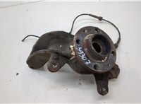 8200297028, 8200308650 Ступица (кулак, цапфа) Renault Scenic 2003-2009 20555544 #1