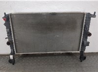  Радиатор охлаждения двигателя Opel Meriva 2003-2010 20553693 #1
