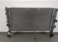  Радиатор охлаждения двигателя Opel Meriva 2003-2010 20553992 #1