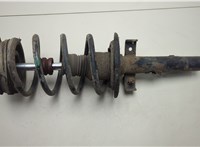8200851839 Амортизатор подвески Renault Scenic 2003-2009 20555759 #1