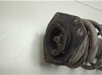8200851839 Амортизатор подвески Renault Scenic 2003-2009 20555785 #2