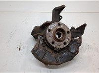 1J0407613G, 1J0498625, 1J0407256AG, 1J0615312A Ступица (кулак, цапфа) Volkswagen Golf 4 1997-2005 20555969 #1