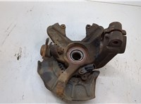 1J0407613G, 1J0498625, 1J0407256AG, 1J0615312A Ступица (кулак, цапфа) Volkswagen Golf 4 1997-2005 20555969 #2