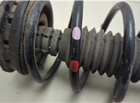 8200348820, 8200663650 Амортизатор подвески Renault Megane 2 2002-2009 20556029 #3