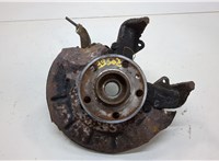 6Q0407256AC, 6Q0407621BR Ступица (кулак, цапфа) Skoda Fabia 1999-2007 20556033 #1