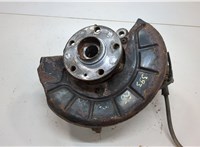 1K0407255AA, 5K0498621 Ступица (кулак, цапфа) Skoda Octavia (A5) 2004-2013 20556052 #1