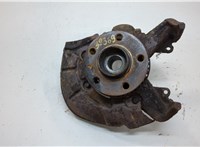 1J0407256N, 1J0407613G Ступица (кулак, цапфа) Volkswagen Golf 4 1997-2005 20556055 #1