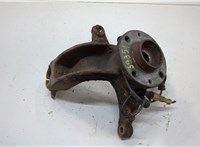 8200297032, 402022048R Ступица (кулак, цапфа) Renault Megane 2 2002-2009 20556058 #1