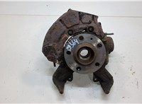 1J0407256N, 1J0407613G Ступица (кулак, цапфа) Volkswagen Golf 4 1997-2005 20556065 #1
