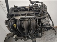  Двигатель (ДВС) Ford Focus 2 2005-2008 20556481 #6