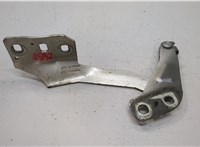 DS7Z16796A Петля капота Ford Fusion 2017-2020 USA 20556729 #1