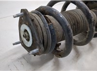  Амортизатор подвески Ford Transit 2006-2014 20557429 #2