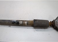 33526873822, 6873822 Амортизатор подвески BMW 3 F30 2012-2019 20557540 #1