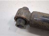 33526873822, 6873822 Амортизатор подвески BMW 3 F30 2012-2019 20557540 #5