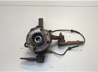  Ступица (кулак, цапфа) Renault Kangoo 1998-2008 20557855 #1