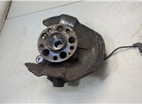 A1693300820, A1693370145 Ступица (кулак, цапфа) Mercedes B W245 2005-2011 20558104 #1