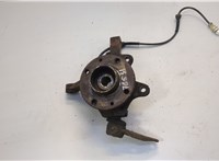  Ступица (кулак, цапфа) Renault Kangoo 1998-2008 20558173 #1