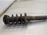  Амортизатор подвески Audi A3 (8P) 2003-2013 20558663 #1