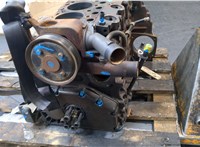 A9040108705, A9040301202, A9060301020, A9060308317 Блок цилиндров (Шорт блок) Mercedes Atego 2 2004-2022 20558965 #2