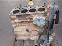 A9040108705, A9040301202, A9060301020, A9060308317 Блок цилиндров (Шорт блок) Mercedes Atego 2 2004-2022 20558965 #3