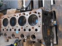 A9040108705, A9040301202, A9060301020, A9060308317 Блок цилиндров (Шорт блок) Mercedes Atego 2 2004-2022 20558965 #4