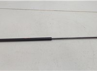  Амортизатор капота Ford Edge 2018-2023 20558979 #2