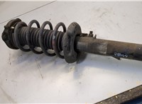  Амортизатор подвески Audi A3 (8P) 2003-2013 20559017 #3