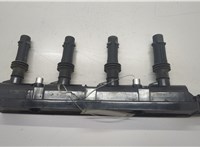  Катушка зажигания Opel Corsa D 2006-2014 20559092 #1