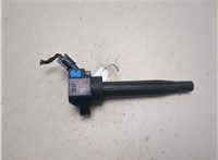273012M417 Катушка зажигания Hyundai Tucson 4 2020-2025 20559435 #1