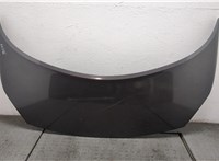651001097R Капот Renault Scenic 2003-2009 20559443 #1
