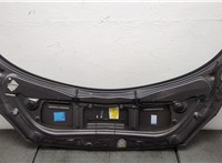 651001097R Капот Renault Scenic 2003-2009 20559443 #5