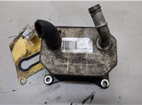  Теплообменник Infiniti EX35 20559704 #3