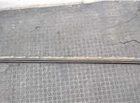  Молдинг двери Audi A6 (C5) 1997-2005 20560023 #4