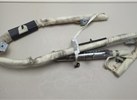 569503E500 Подушка безопасности боковая (шторка) KIA Sorento BL 2002-2011 20560096 #1