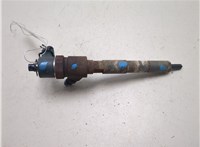 0445110287 Форсунка топливная LDV (DAF) Maxus 2004-2008 20560878 #1