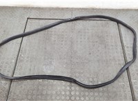  Уплотнитель Hyundai Elantra 2013-2016 20562369 #1